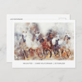 野生の自由な馬 ポストカード (正面/裏面)