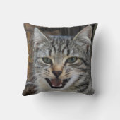 野生の興奮した子猫の写真,猫好き クッション (裏面)