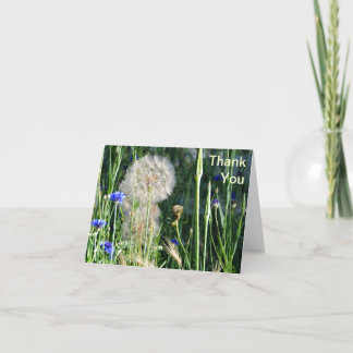 野生の花および腹菌類、ありがとう サンキューカード