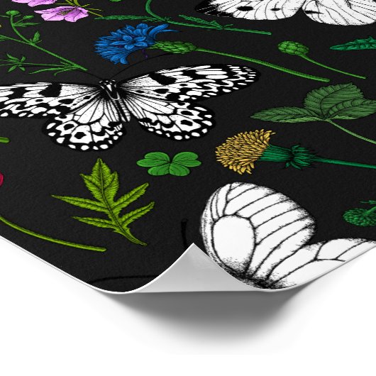 野生の花と蝶2 ポスター (角)