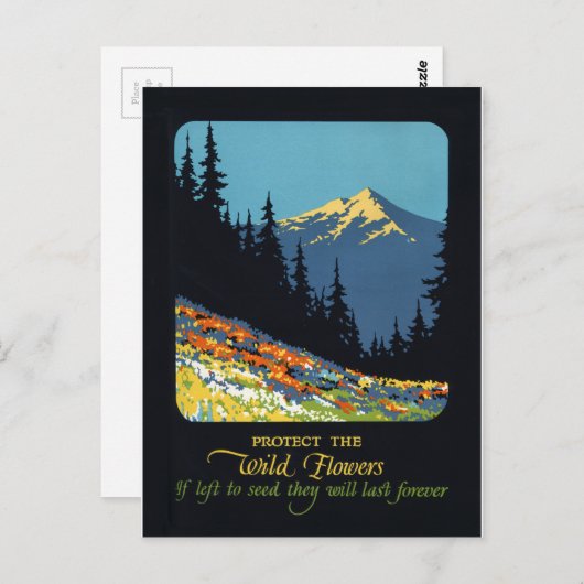 野生の花のアースデーの環境のdecoの郵便はがき ポストカード (正面/裏面)