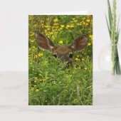 野生の花のグリーティングカードの中の鹿 カード (正面)