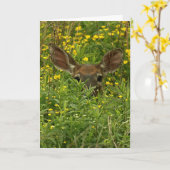 野生の花のグリーティングカードの中の鹿 カード (黄色い花)