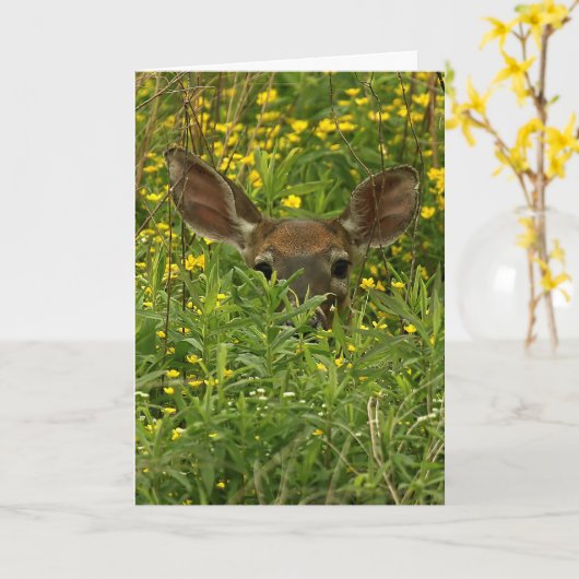 野生の花のグリーティングカードの中の鹿 カード (黄色い花)