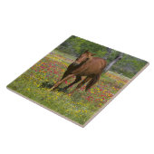 野生の花のフィールドで4分の1の馬 タイル (側面)