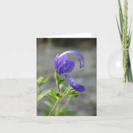 野生の花のメッセージカード カード