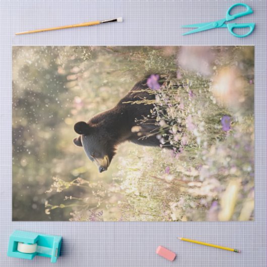 野生の花の分野でクマを切り離す 薄葉紙 (クラフト)