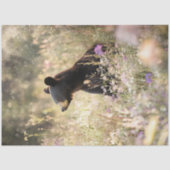 野生の花の分野でクマを切り離す 薄葉紙 (正面)