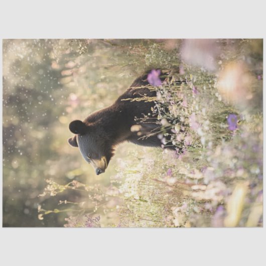 野生の花の分野でクマを切り離す 薄葉紙 (正面)