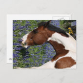 野生の花の分野のペンキの馬 ポストカード (正面/裏面)