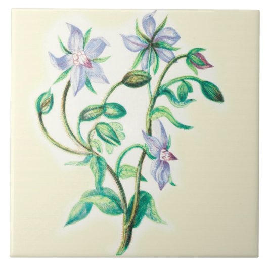 野生の花の国の台所セラミックタイルのるりぢさ タイル (正面)