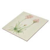 野生の花の国の台所セラミックタイルの海ピンク タイル (側面)