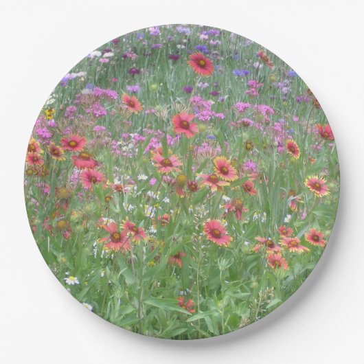 「野生の花の庭」 ペーパープレート (正面)