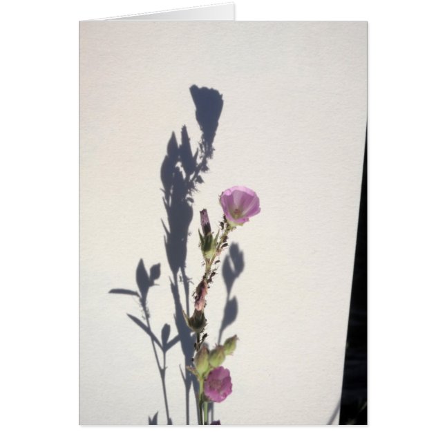 野生の花の影2014年 (正面)