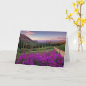 野生の花の日の出の|頂点に達されたビュート、コロラド州 カード (黄色い花)