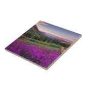 野生の花の日の出の|頂点に達されたビュート、コロラド州 タイル (側面)