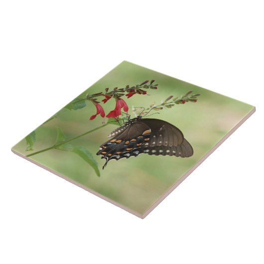 野生の花の蝶 タイル (側面)