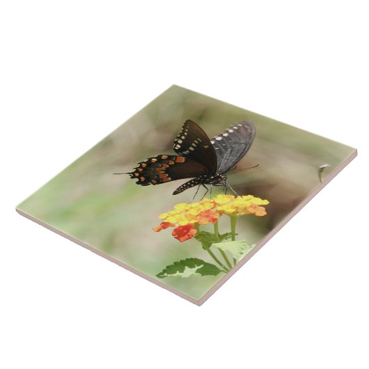 野生の花の蝶 タイル (側面)