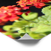 野生の花の蝶、聖なる書物、 経典の聖句 ポスター (角)