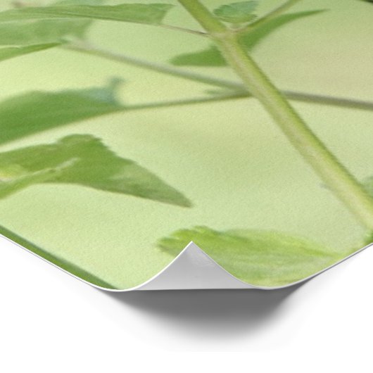 野生の花の蝶、聖なる書物、 経典の聖句 ポスター (角)