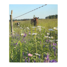 野生の花の金属の中の子牛のプリント メタルプリント