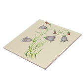 野生の花の陶磁器の台所タイルのCampanula タイル (側面)