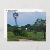 野生の花の風車 ポストカード (正面/裏面)