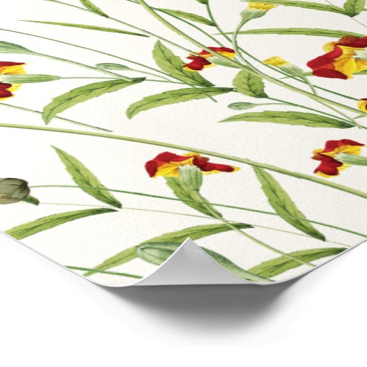 野生の花の黄色のマリゴールド結婚葉 ポスター (角)