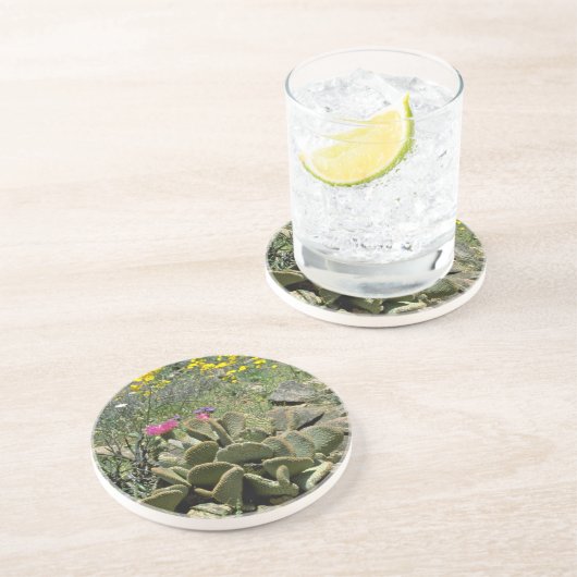 野生の花のfloweが付いているBeavertailの開花のサボテン コースター (側面)