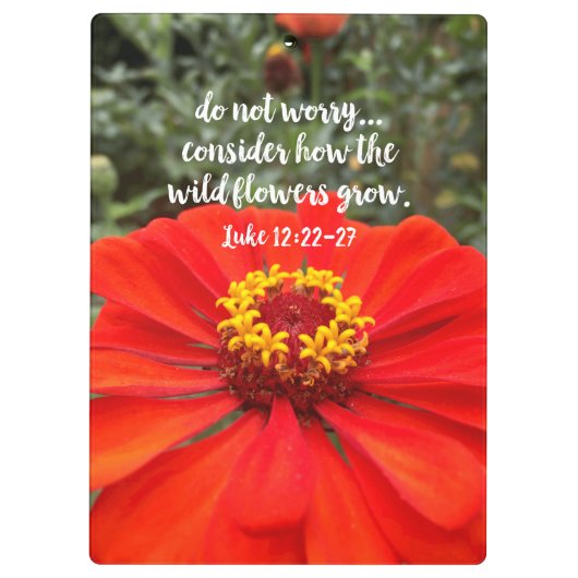 野生の花を心配しないでキリスト教の聖書 クリップボード (裏面)
