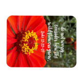 野生の花を心配しないでキリスト教の聖書 マグネット (横)