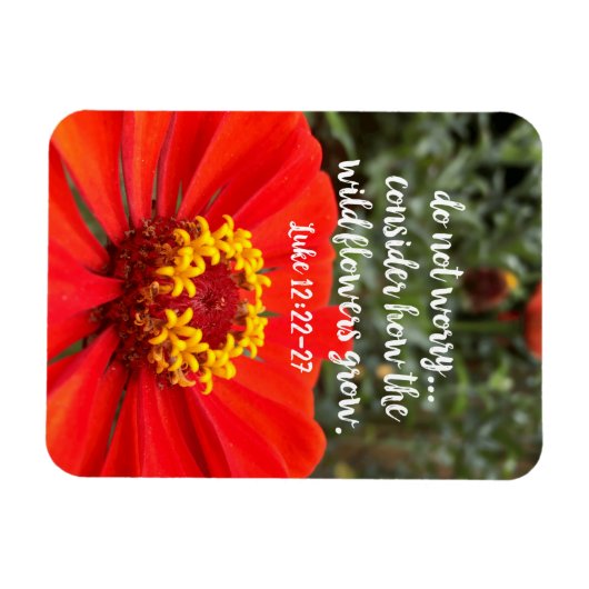 野生の花を心配しないでキリスト教の聖書 マグネット (横)