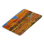 野生の花を持つオーストラリアのアウトバック マグネット (左側)