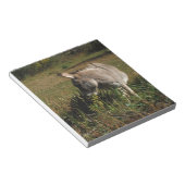 野生の花を持つ小さい灰色のろば ノートパッド (アングル)