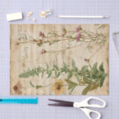 野生の花フローラヴィンテージ音楽シートephemera 薄葉紙 (クラフト)