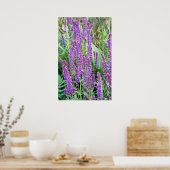 野生の花畑紫色のサルビアルーマニア ポスター (キッチン)