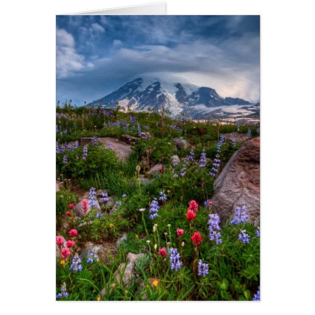 野生の花 (正面)