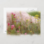 野生の花1つの郵便はがき ポストカード (正面/裏面)