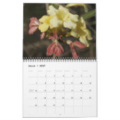 野生の花、オクマギーの道 カレンダー (3月 2027)
