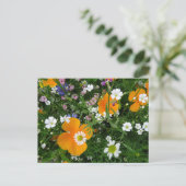 野生の花:オレンジ色の白ピンクDIYはがき ポストカード (スタンド正面)