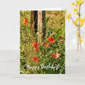 野生の花 カード (黄色い花)