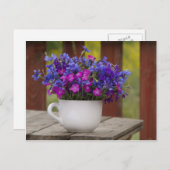 野生の花、カーネーション、とうもろこし花 ポストカード (正面/裏面)