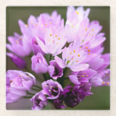 野生の花 ガラスコースター (正面)