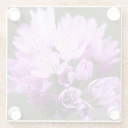 野生の花 ガラスコースター (裏面)