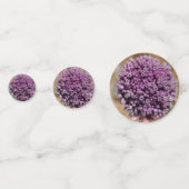 野生の花 コンフェッティ (正面)