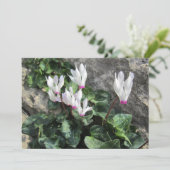 野生の花 シーズンカード (スタンド正面)