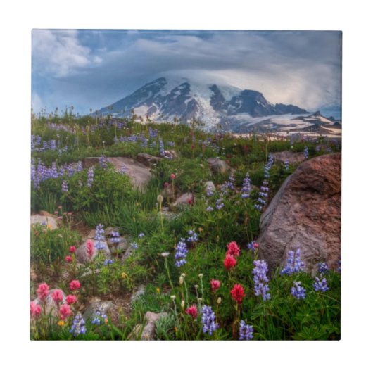 野生の花 タイル (正面)