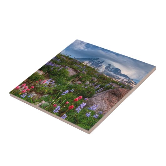 野生の花 タイル (側面)