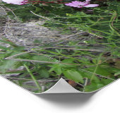 野生の花 ポスター (角)