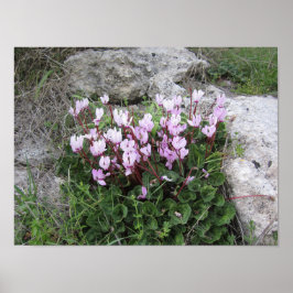 野生の花 ポスター